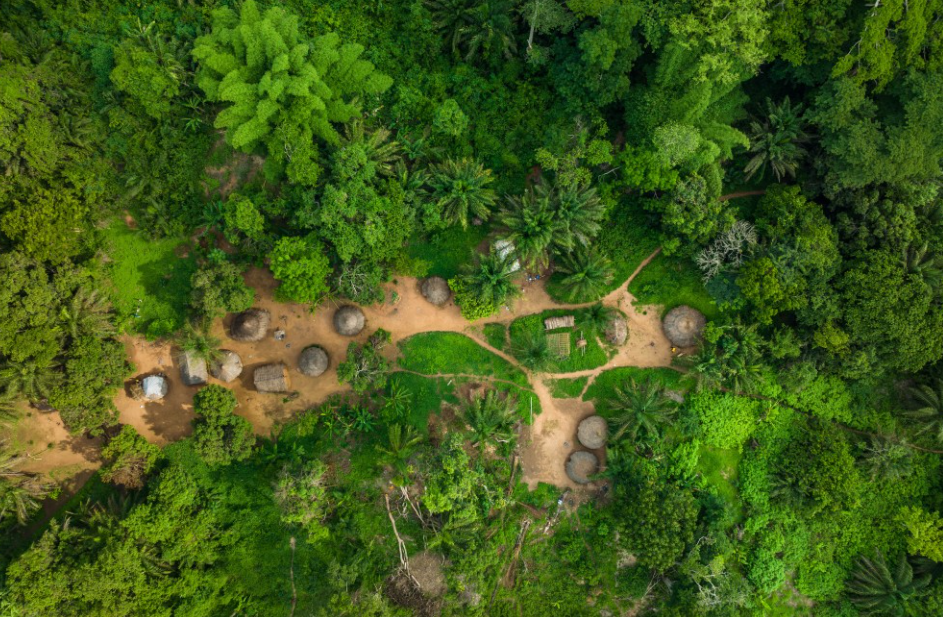 Chinko Nature Reserve, Eastern CAR, Central African Republic